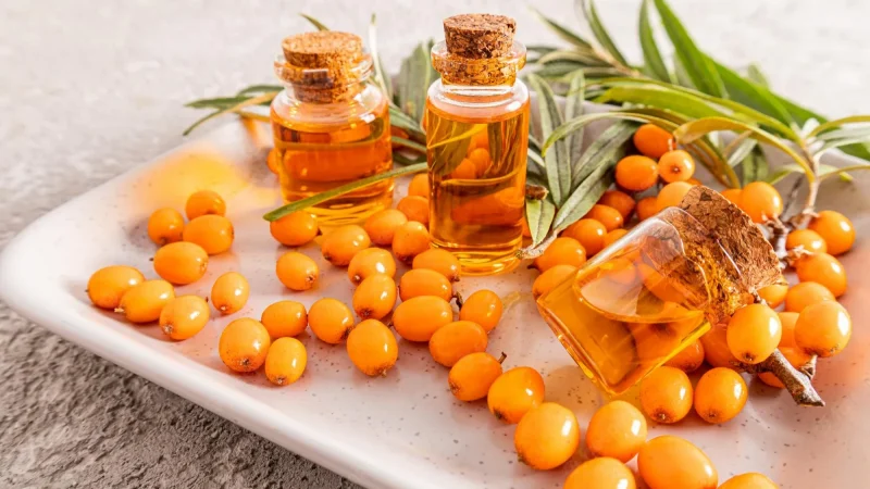 Exploring Sea Buckthorn’s Flavor Profile in Gin: Tart and Tangy Goodness